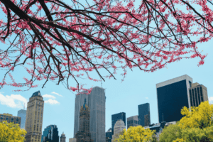 new york city spring